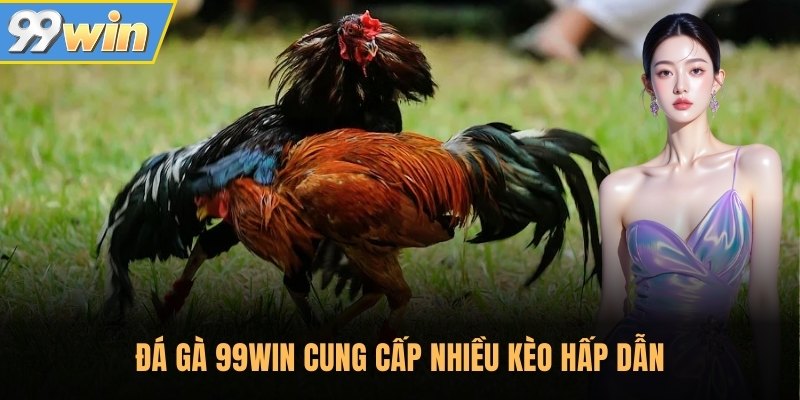 Đá gà 99Win cung cấp nhiều kèo hấp dẫn Đá gà 99Win cung cấp nhiều kèo hấp dẫn