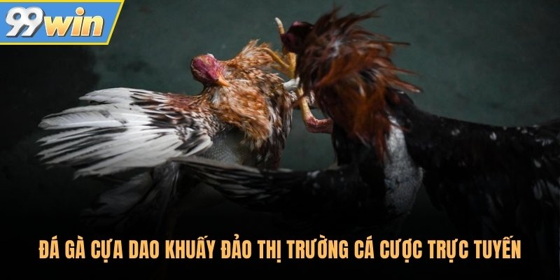 Đá gà cựa dao khuấy đảo thị trường cá cược trực tuyến Đá gà cựa dao khuấy đảo thị trường cá cược trực tuyến