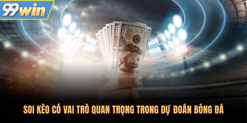 Soi kèo có vai trò quan trọng trong dự đoán bóng đá