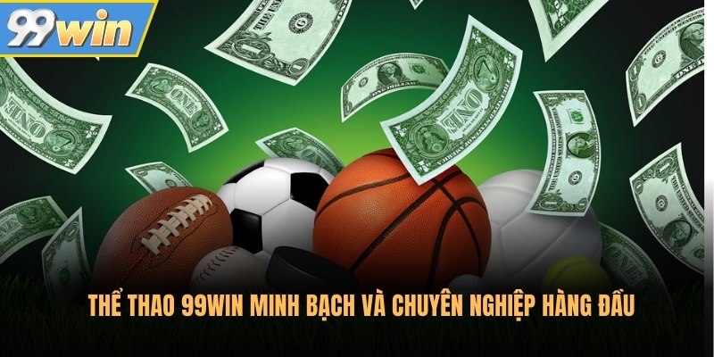 Thể thao 99Win minh bạch và chuyên nghiệp hàng đầu